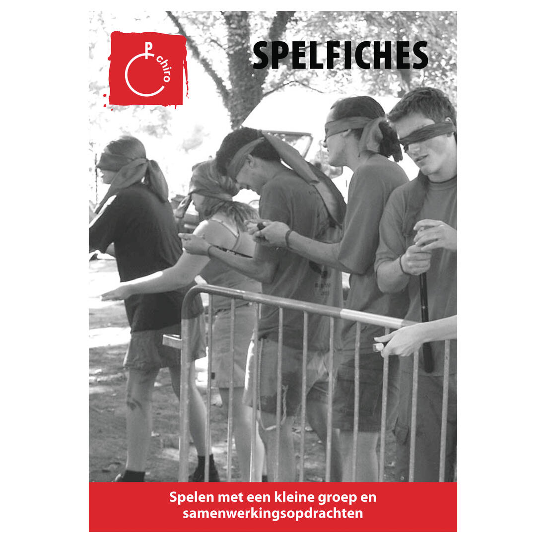 Spelfiches - kleine groep en samenwerkingsopdrachten