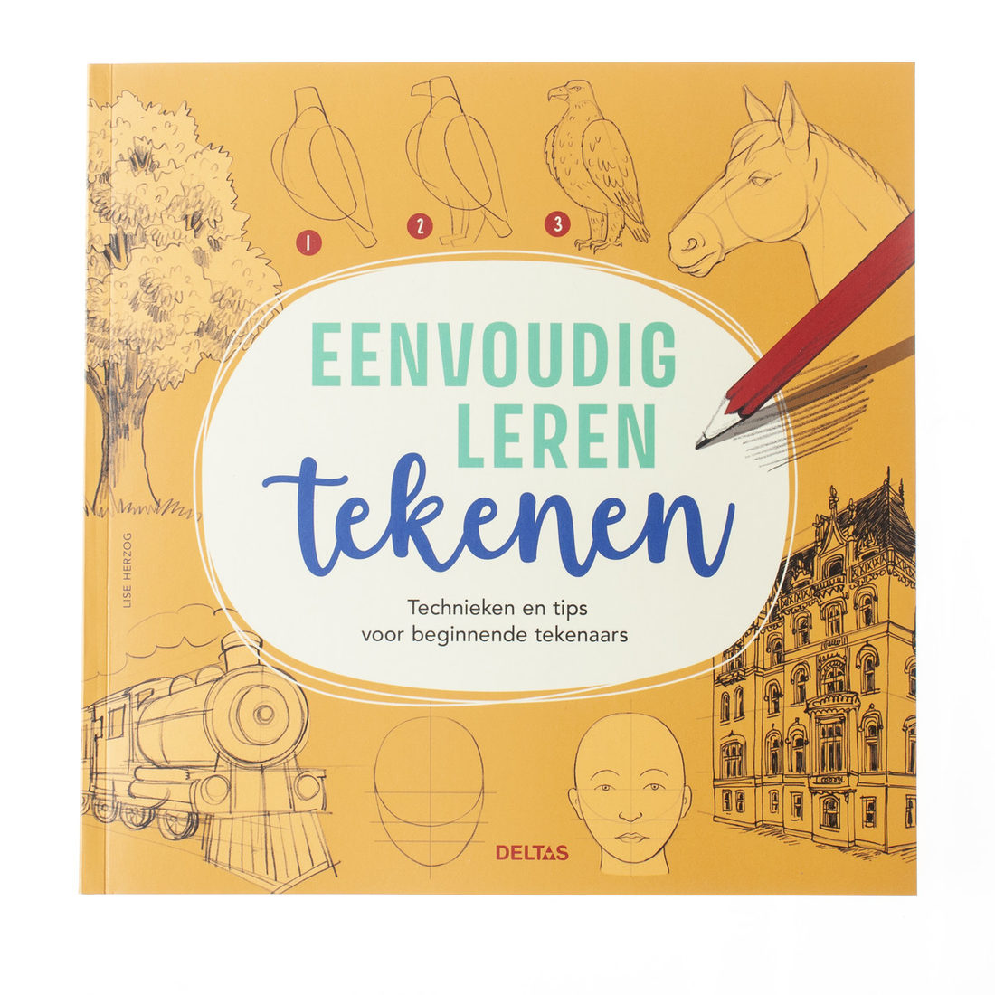 Eenvoudig leren tekenen